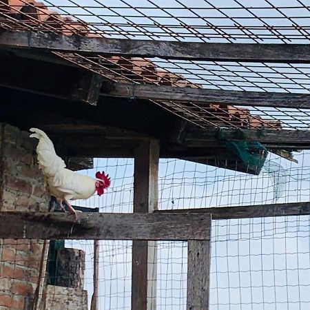 Agriturismo Cascina Smeralda Βίλα Pontestura Εξωτερικό φωτογραφία